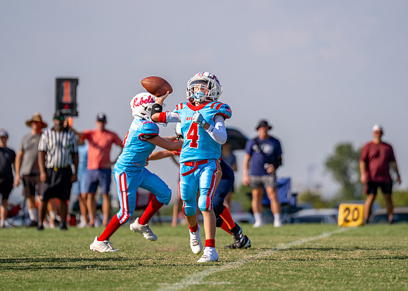 10U Bears vs. Rebels-209