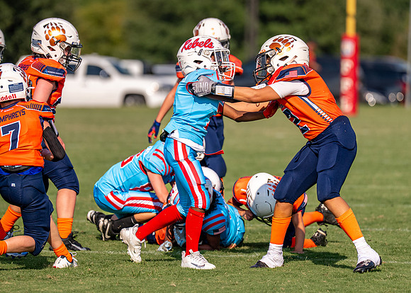 10U Bears vs. Rebels-226