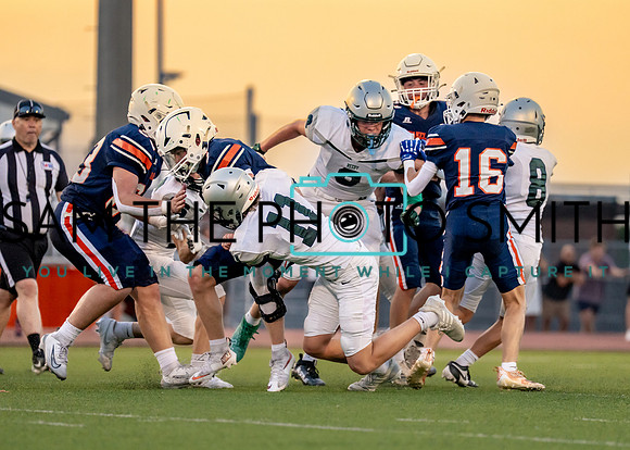 Vs. Wakeland-88