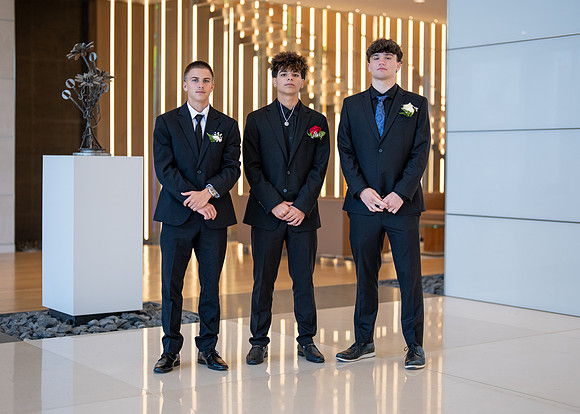 HOCO-33