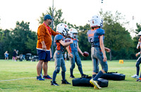 7U Longhorns