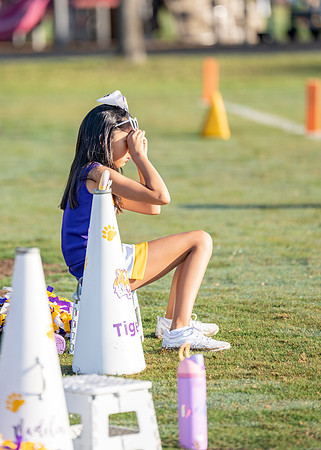 Tigers vs. Chiefs Cheer-175