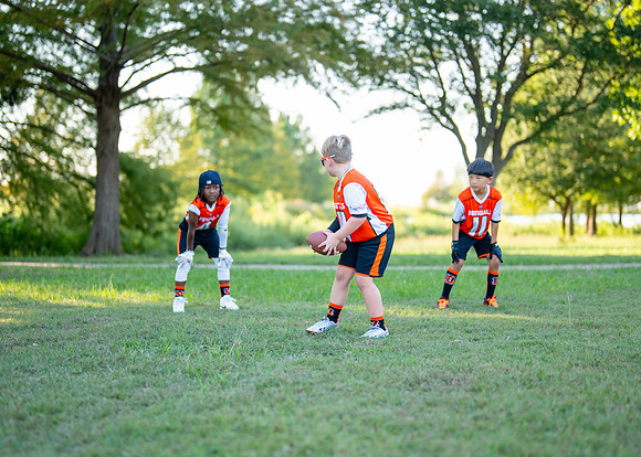 Bengals_-87