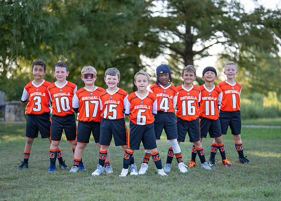 Bengals_-108