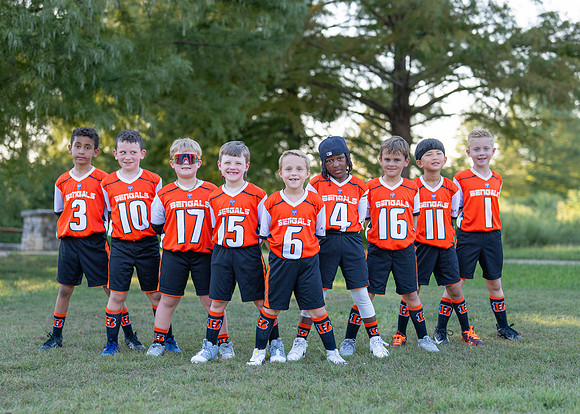 Bengals_-110