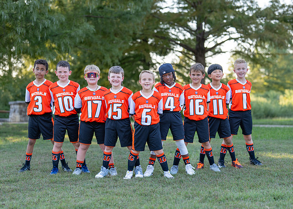 Bengals_-111