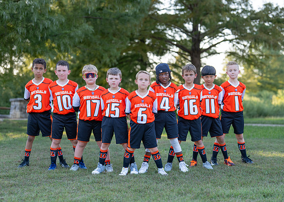 Bengals_-112