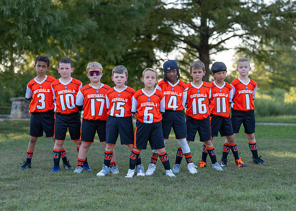 Bengals_-113