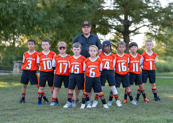 Bengals_-117