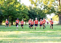 Bengals_-119