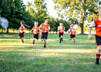 Bengals_-121