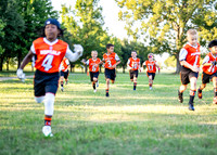 Bengals_-120