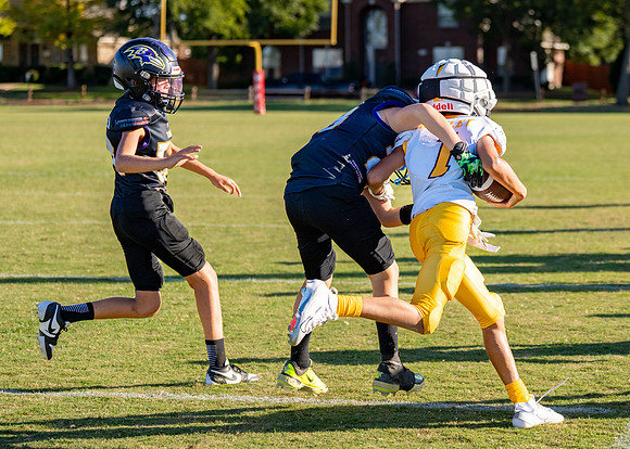 11U Sun Devils Vs. Ravens-115