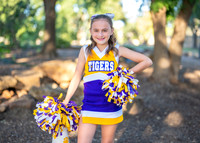 9U Tigers-2