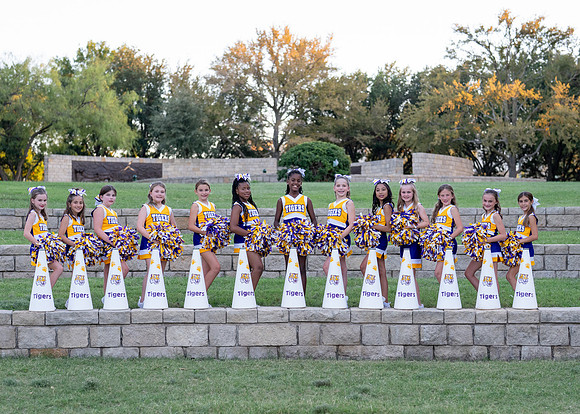 9U Tigers-75