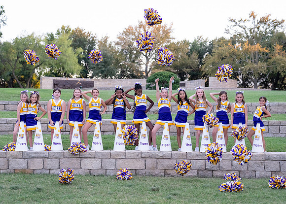 9U Tigers-85