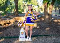 9U Tigers