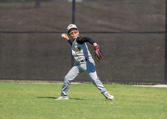 Frisco Bats-150