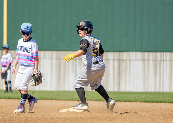 Frisco Bats-250