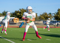 Cobb Vs. Griffin B-19