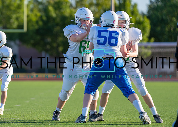 Cobb Vs. Griffin B-59