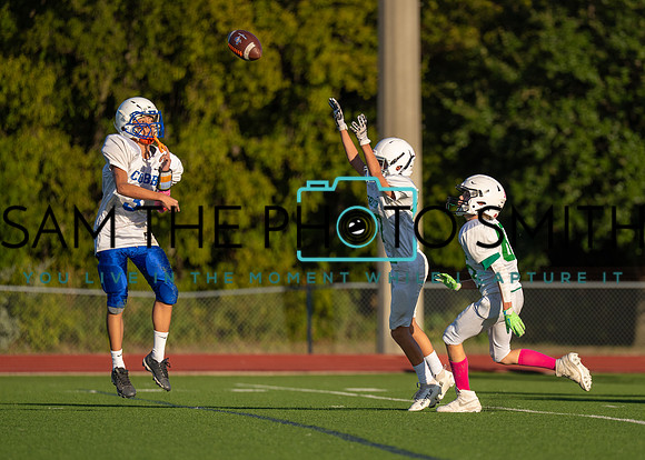 Cobb Vs. Griffin B-73