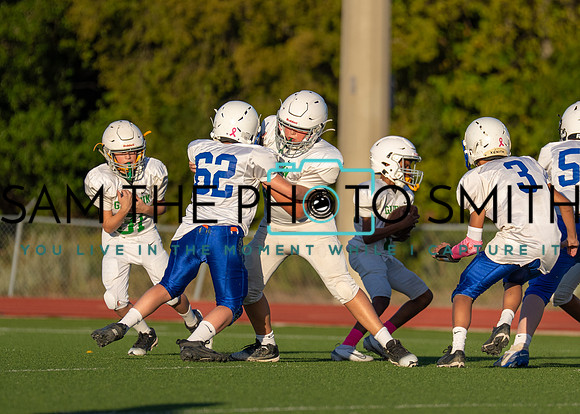 Cobb Vs. Griffin B-132