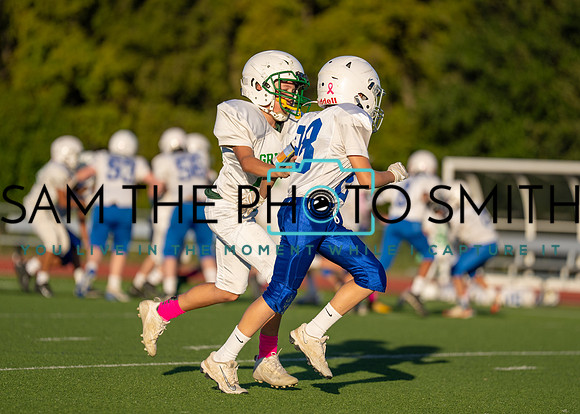 Cobb Vs. Griffin B-133