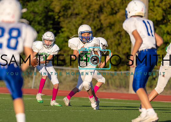 Cobb Vs. Griffin B-135