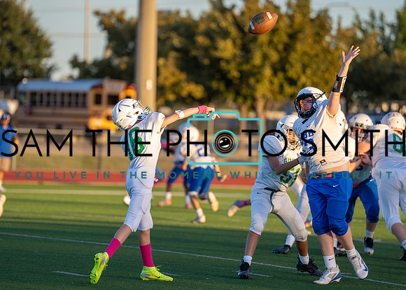 Cobb Vs. Griffin B-200