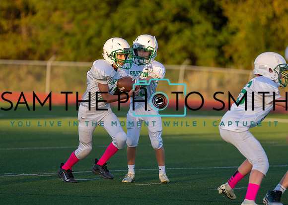 Cobb Vs. Griffin B-203