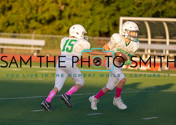 Cobb Vs. Griffin B-202