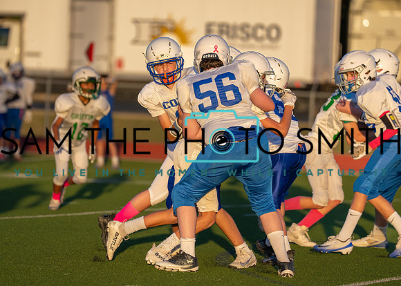 Cobb Vs. Griffin B-207