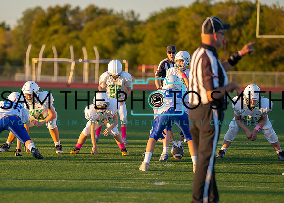 Cobb Vs. Griffin B-216