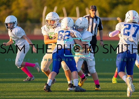 Cobb Vs. Griffin B-217