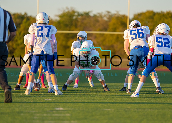 Cobb Vs. Griffin B-221