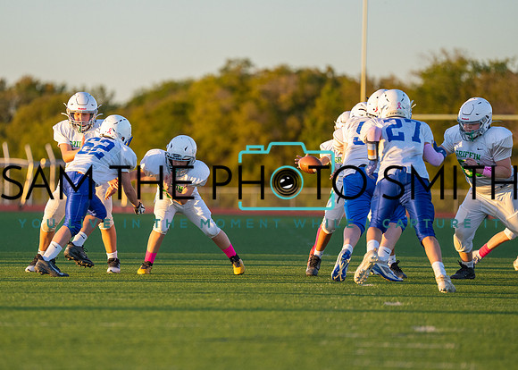 Cobb Vs. Griffin B-222