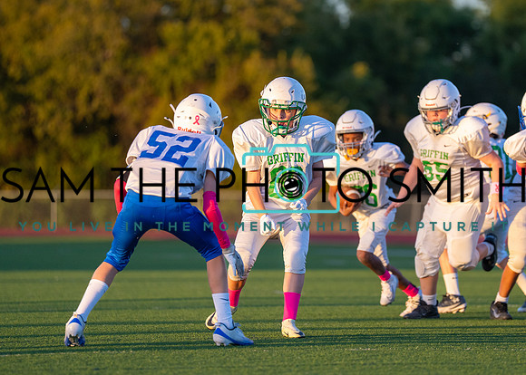 Cobb Vs. Griffin B-230