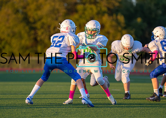 Cobb Vs. Griffin B-231