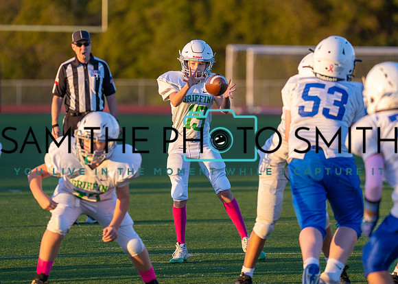 Cobb Vs. Griffin B-234