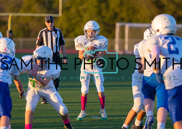 Cobb Vs. Griffin B-235