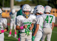 Cobb Vs. Griffin B