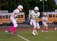 Cobb Vs. Griffin A-7
