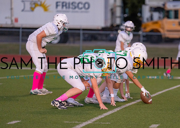 Cobb Vs. Griffin A-9
