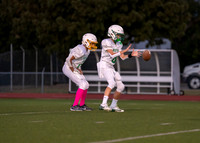Cobb Vs. Griffin A-14