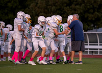 Cobb Vs. Griffin A-13
