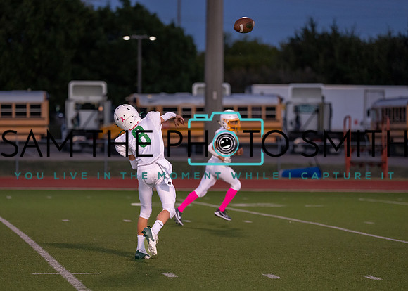 Cobb Vs. Griffin A-22
