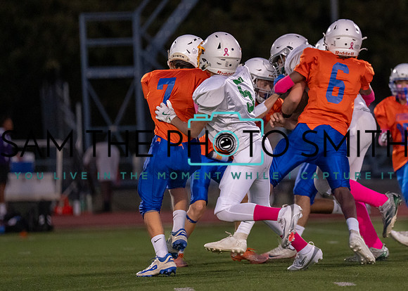 Cobb Vs. Griffin A-30