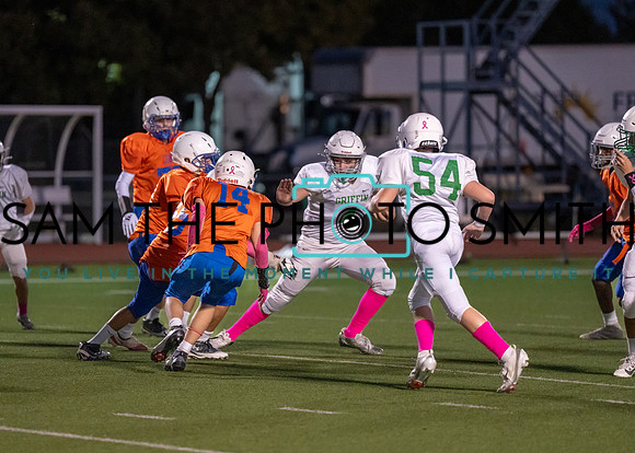 Cobb Vs. Griffin A-40