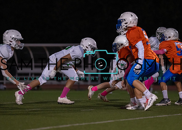 Cobb Vs. Griffin A-44